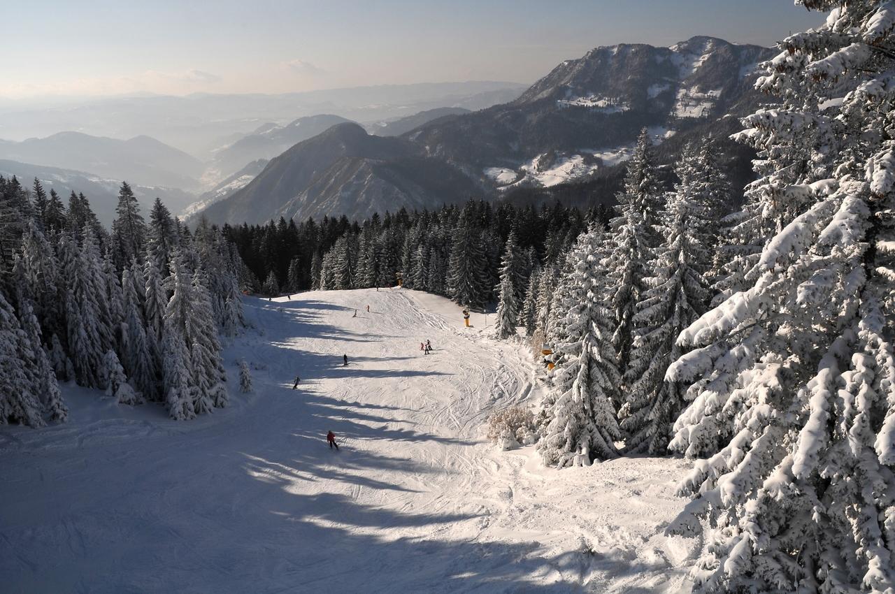 Alpska Perla Apartments ツェルクノ エクステリア 写真